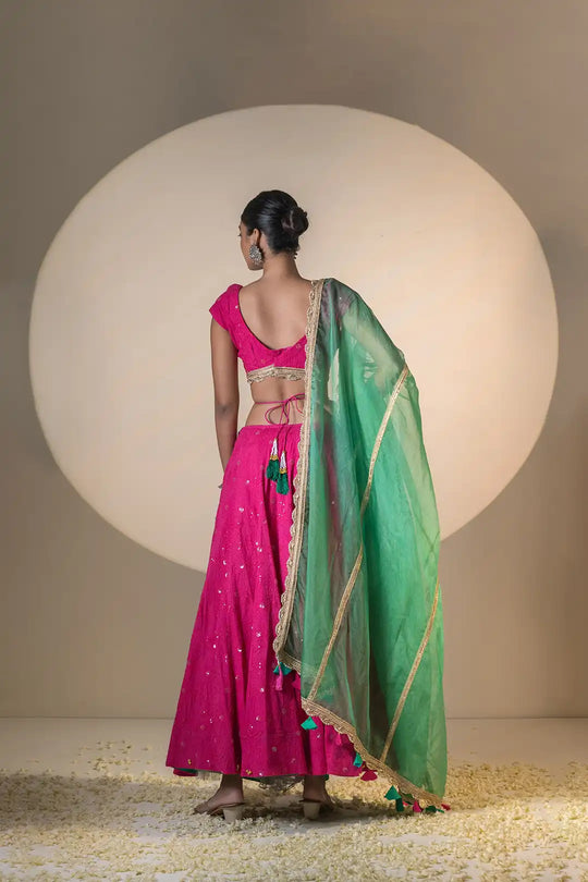 Pink & Green Lehanga & Organza Dupatta With Tassels