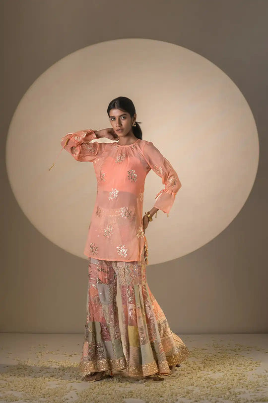 Multi color organza & silk pakiza suit