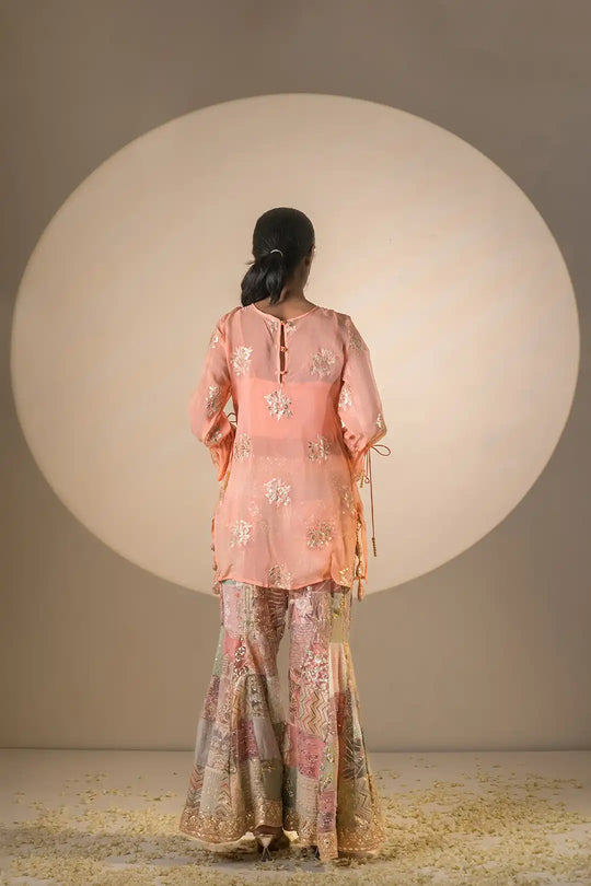Multi color organza & silk pakiza suit