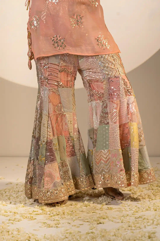 Multi color organza & silk pakiza suit