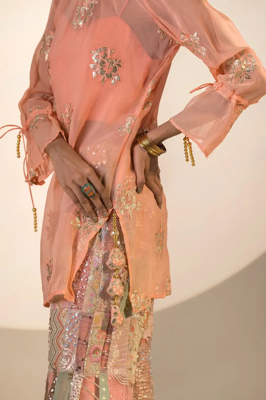 Multi color organza & silk pakiza suit