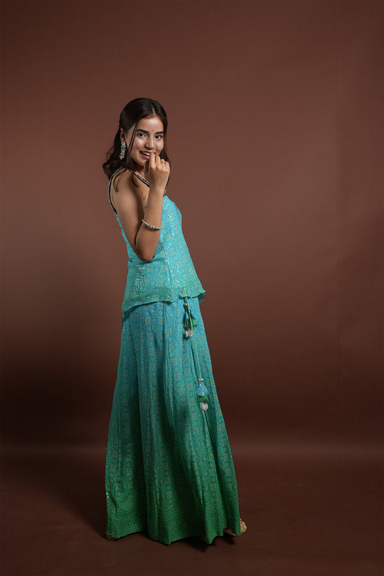 Georgette Embroidered Sharara